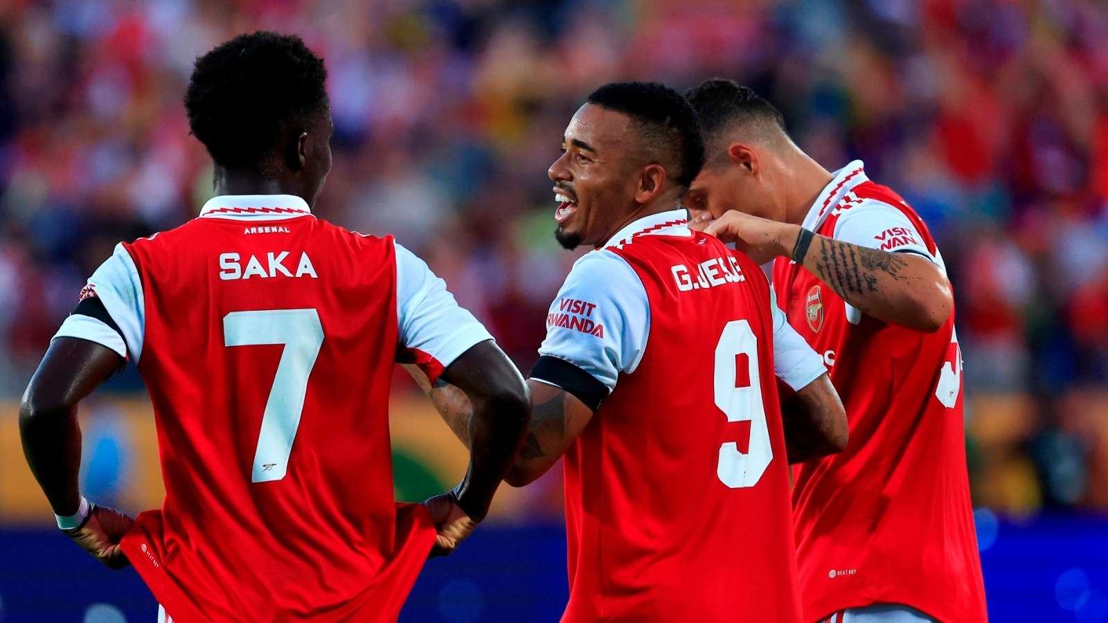 猛龙队的 猛龙队的